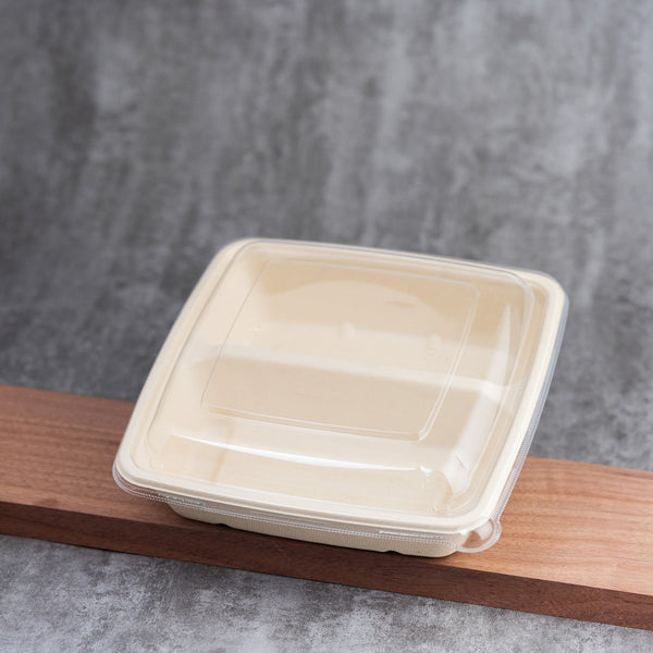 Molded Fiber Square Container 34oz - 47oz PET Lid