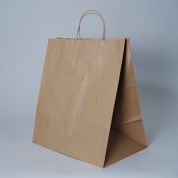 Takeout Paper Bag